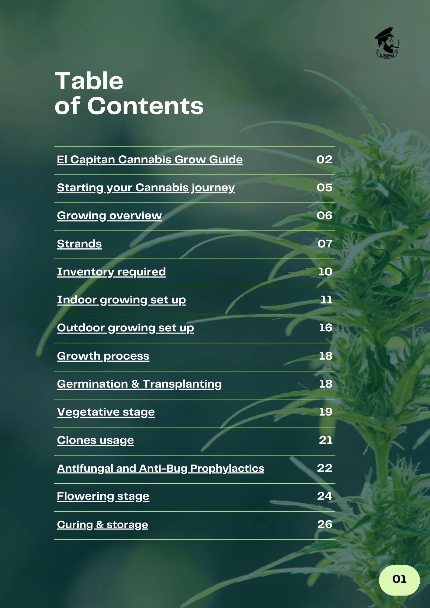 How to Grow Cannabis | Cannabis Grow Guide - Image 3
