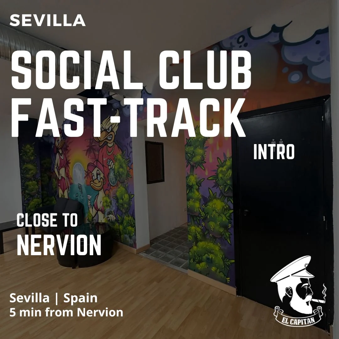 Social Club Fast-Track Intro | Sevilla - Nervion